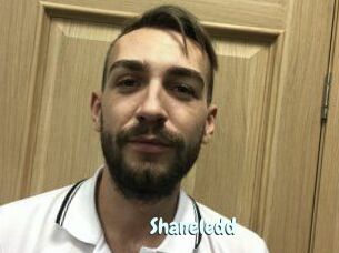 Shane_ledd