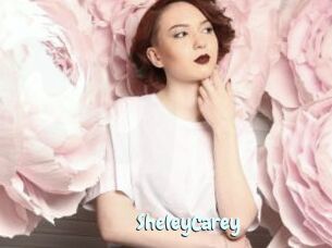 SheleyCarey