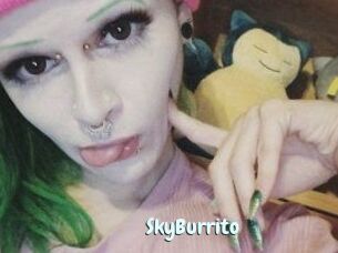 SkyBurrito