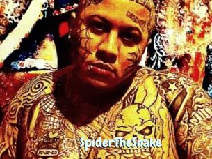 SpiderTheSnake