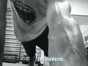 StevieVeins