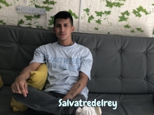 Salvatredelrey