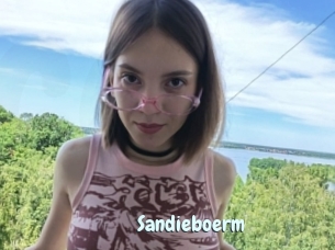 Sandieboerm