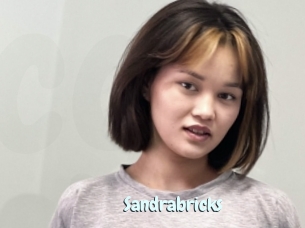 Sandrabricks