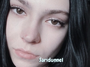 Saridunnel