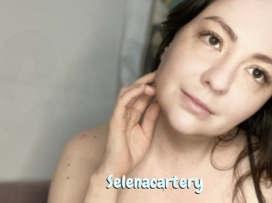 Selenacartery
