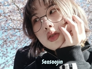Seosoojin