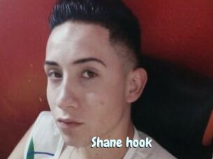 Shane_hook