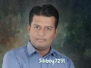 Siliboy7291