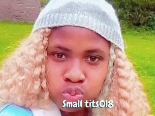 Small_tits018