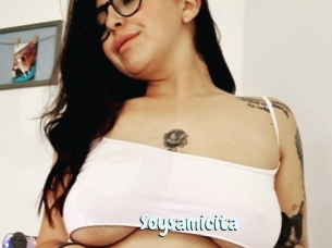 Soysamicita