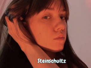 Steinschultz