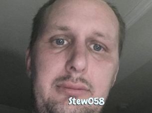 Stew058