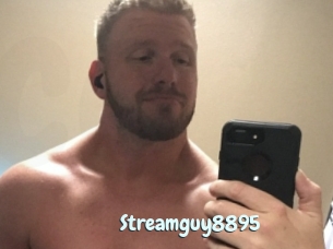 Streamguy8895