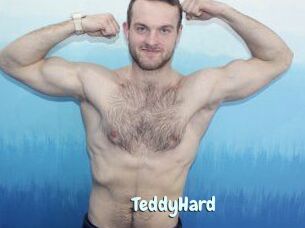 TeddyHard