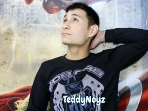 TeddyNoyz