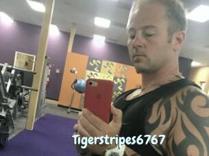Tigerstripes6767