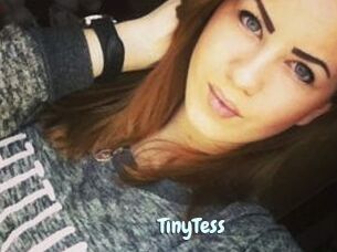 TinyTess
