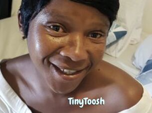 TinyToosh