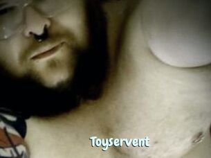 Toyservent