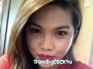 TransBigCOCK4u