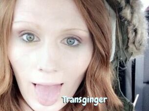 Transginger