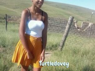 Turtledovey