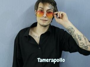 Tamerapollo