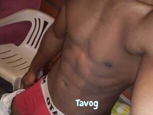 Tavog