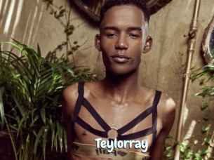 Teylorray