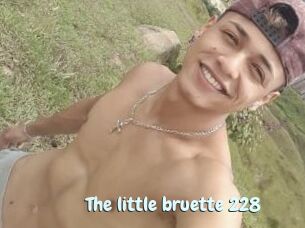 The_little_bruette_228