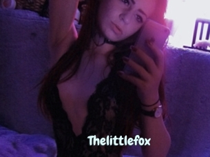 Thelittlefox