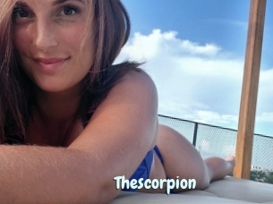 Thescorpion