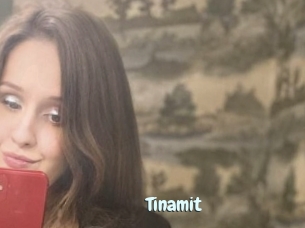 Tinamit
