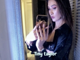 Tiny_taylor