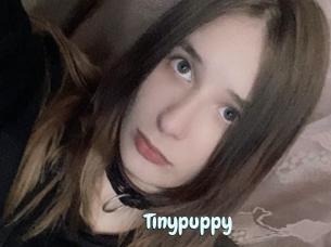 Tinypuppy