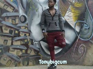 Tonybigcum