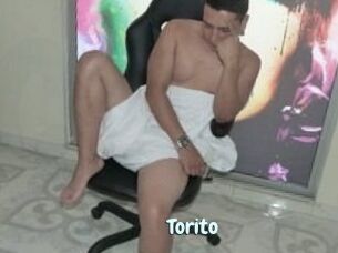 Torito