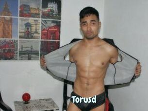 Torusd