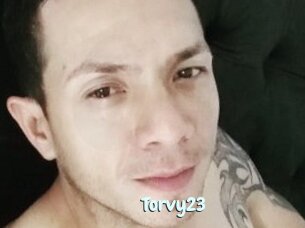 Torvy23