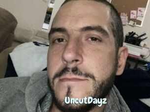 UncutDayz