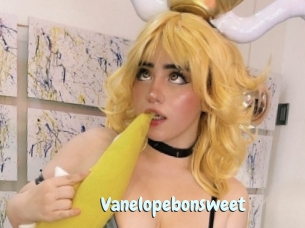 Vanelopebonsweet