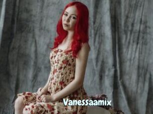Vanessaamix