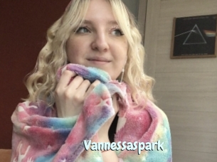 Vannessaspark