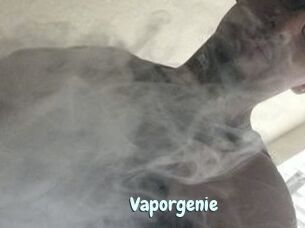 Vapor_genie