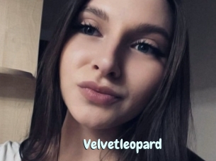 Velvetleopard