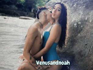 Venusandnoah