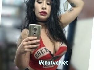 Venusvelvet