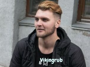 Vikingrub