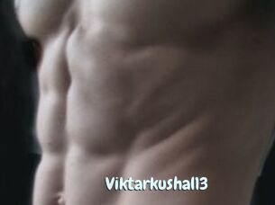 Viktarkushal13